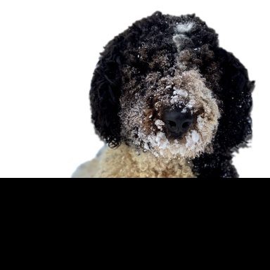 Photo de Profil de Marvel