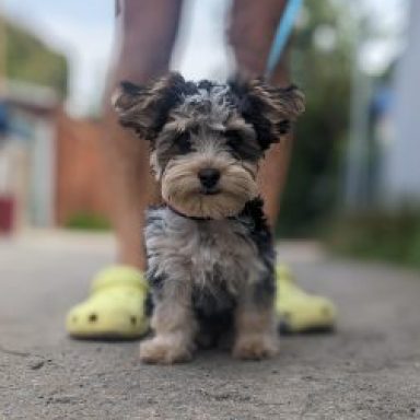 Photo de Profil de Softrain